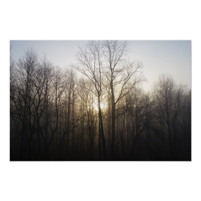 Winternebel Naturfotografie Poster (Vorderseite)