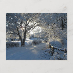 Winterniederschlag Postkarte