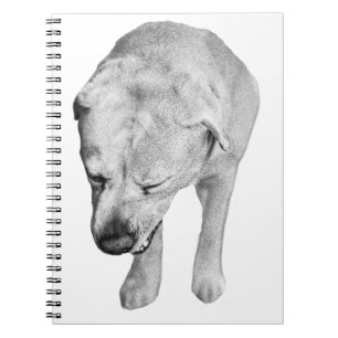 Winternoten mit schattiertem Labrador Notizblock