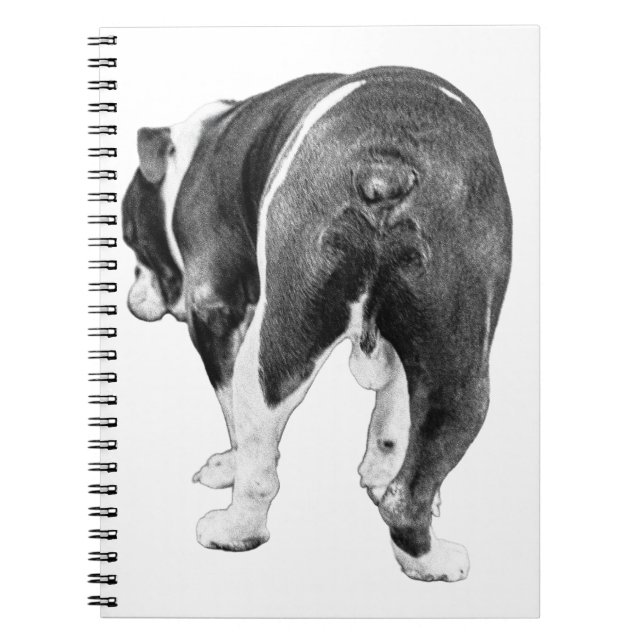 Winternoten mit schattiger Bulldogmuse Notizblock (Vorderseite)