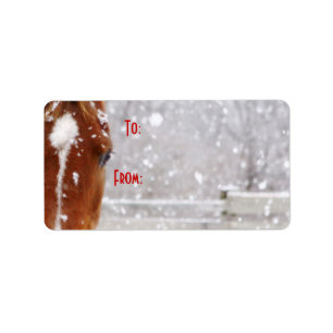 Winterpferd Adressaufkleber