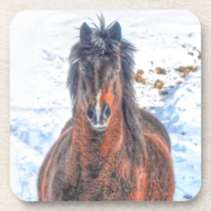 Winterpferd auf dem Schneefeld Getränkeuntersetzer