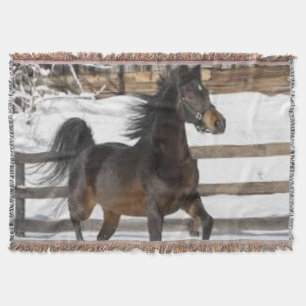 Winterpferd Decke