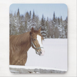 Winterpferd Mousepad