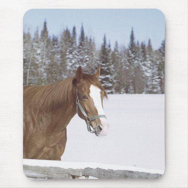 Winterpferd Mousepad (Vorne)