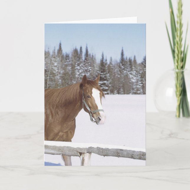Winterpferd Pferdeschnee Weihnachten Weihnachten W (Vorderseite)