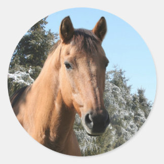 Winterpferd Runder Aufkleber