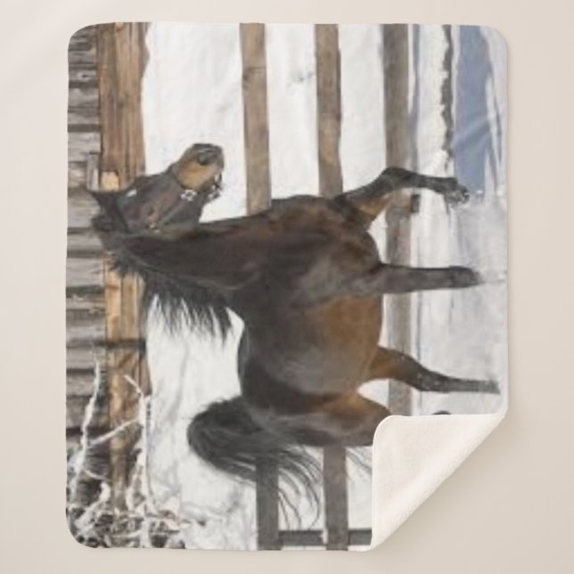 Winterpferd Sherpadecke (Vorderseite)