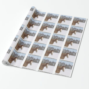 Winterpferd Weihnachten Weihnachten Weihnachten We Geschenkpapier
