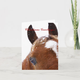 Winterpferd Weihnachtskarte Feiertagskarte