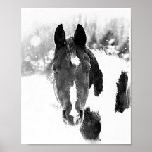 Winterpferde Pferde Pferde B&W Poster