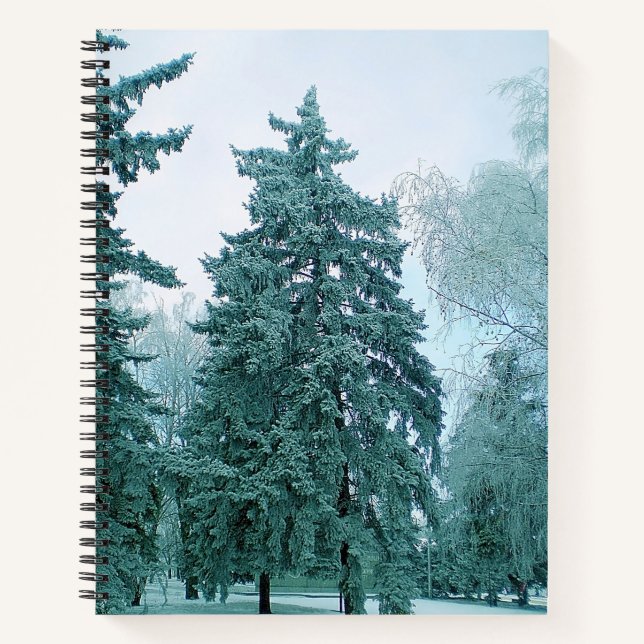 Winterpine mit Schnee Notizbuch (Vorderseite)