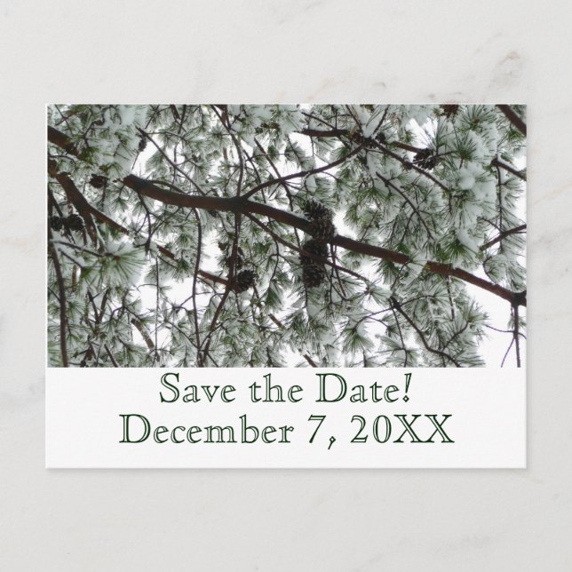 Winterpine Save the Date Postkarte (Vorderseite)