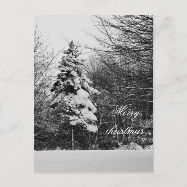 Winterpostkarte Feiertagspostkarte (Vorderseite)