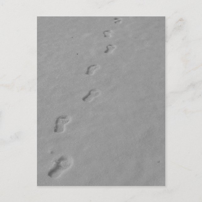 Winterpostkarte! Postkarte (Vorderseite)