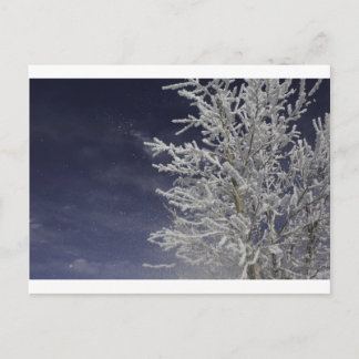 Winterpostkarte Postkarte