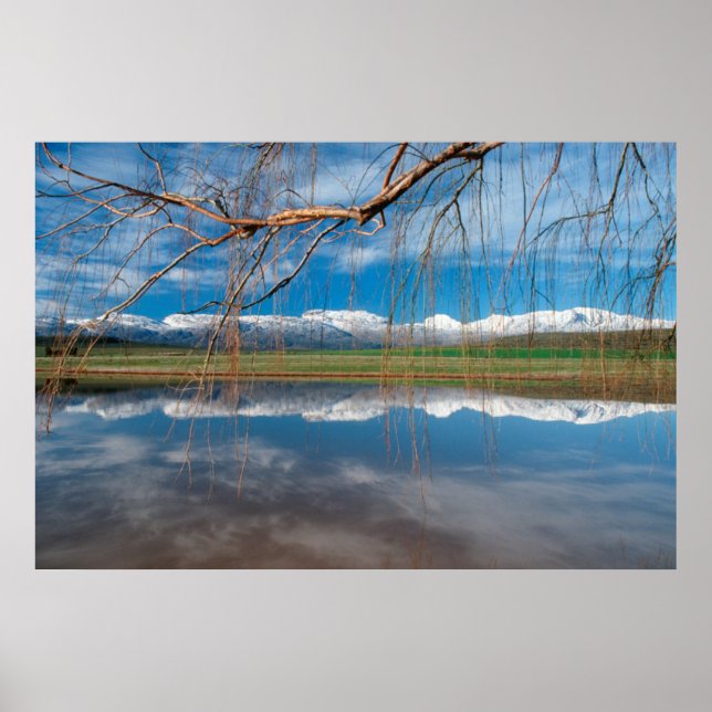 Winterreflektionen. Ceres, Bezirk Boland Poster (Vorne)