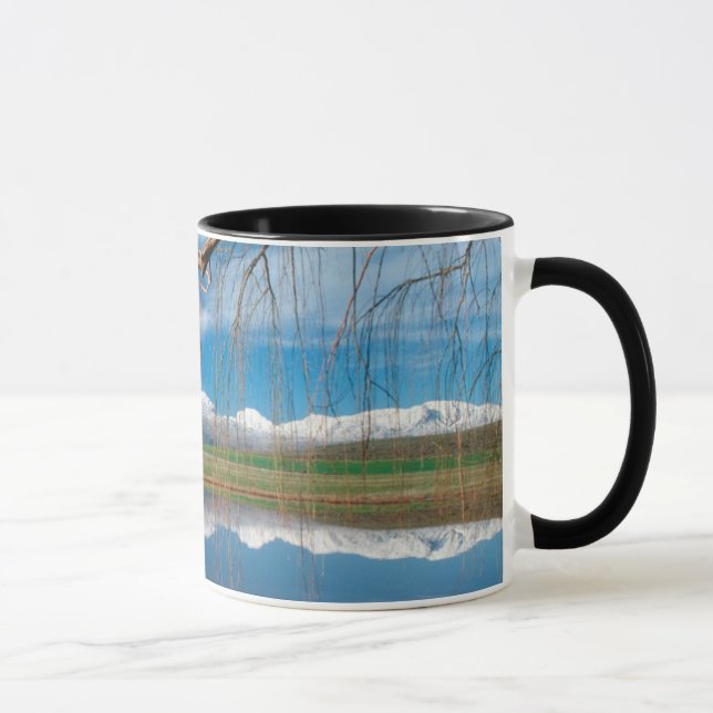 Winterreflektionen. Ceres, Bezirk Boland Tasse (Rechts)