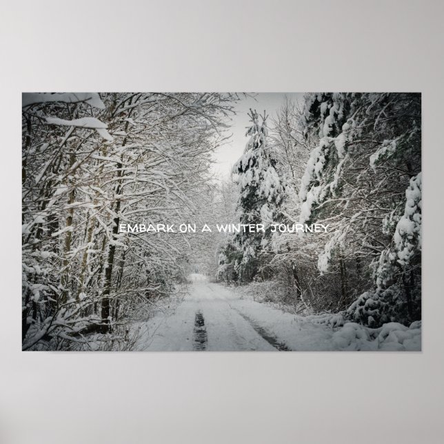 Winterreise durch das Wald Poster (Vorne)