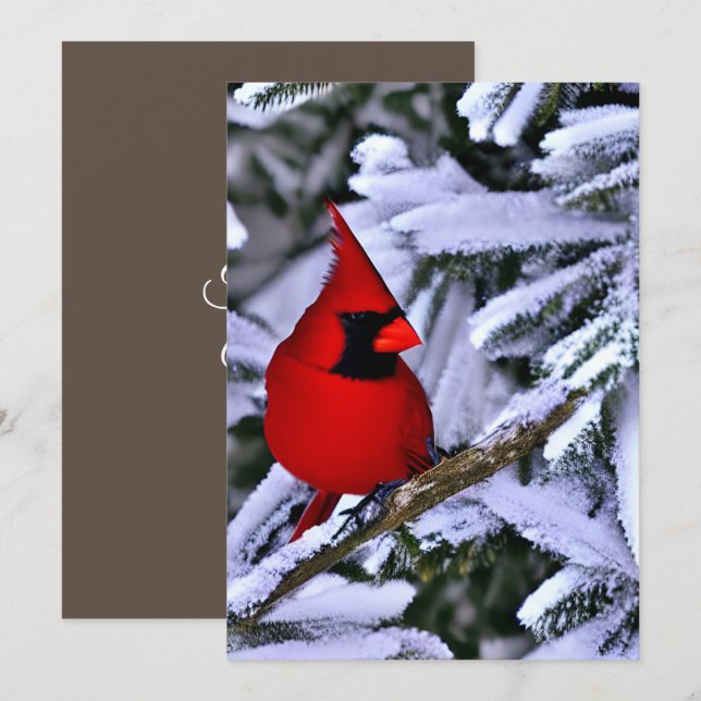 Winterroter Kardinal Dankeskarte (Vorne/Hinten)