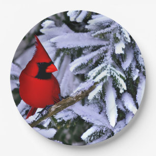 Winterroter Kardinal Pappteller