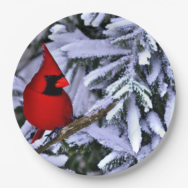 Winterroter Kardinal Pappteller (Vorderseite)