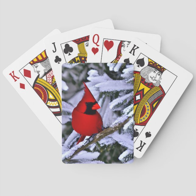 Winterroter Kardinal Spielkarten (Rückseite)