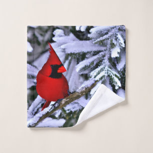 Winterroter Kardinal Waschlappen