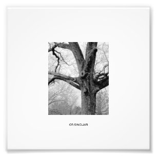 WINTERS, der durch CR SINCLAIR sich AUSZIEHT Fotodruck