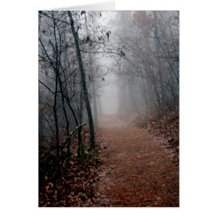 Winters Fog - Pas de fin en vue sur le sentier Cad