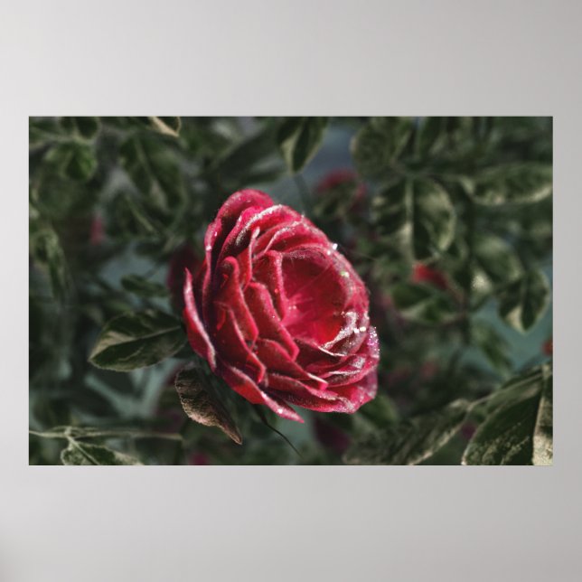 Winter's Parting Geschenk Print Poster (Vorne)