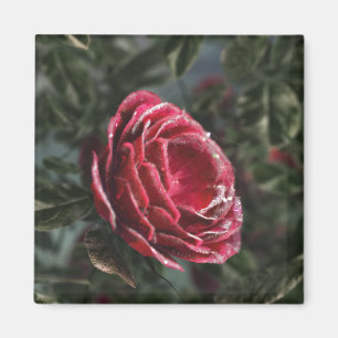 Winter's Parting Magnet