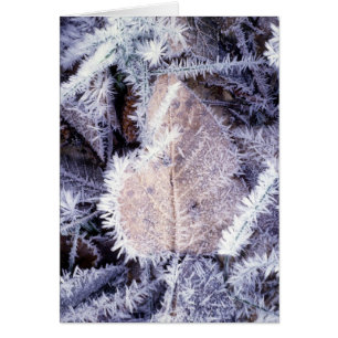 Winterscapes Karte