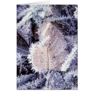 Winterscapes Karte