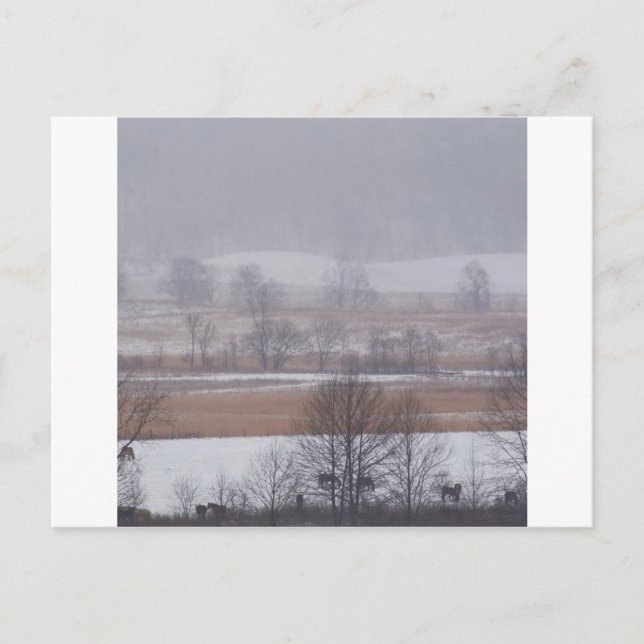 Winterschaukeln bedecken große, rauchige Berge Postkarte (Vorderseite)