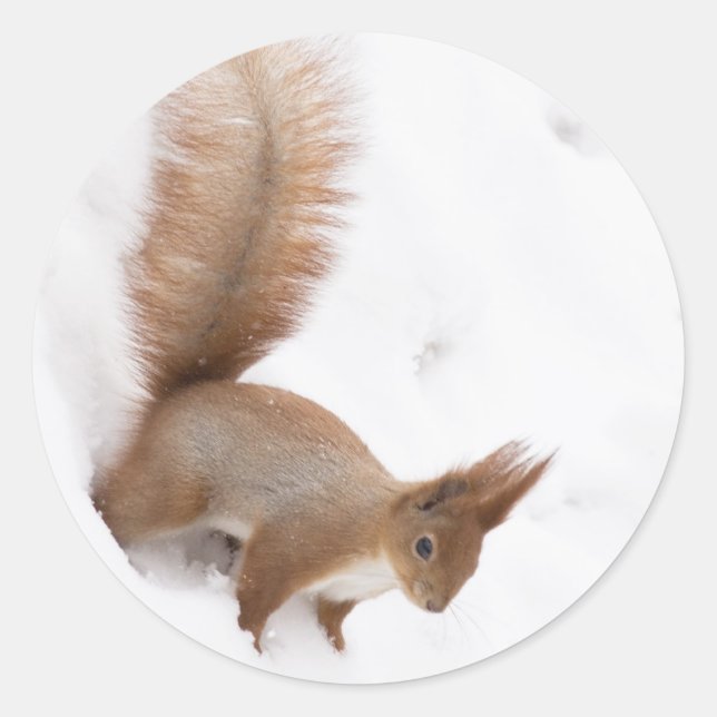 Winterscheißel Runder Aufkleber (Vorderseite)