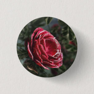 Winterschenken Button