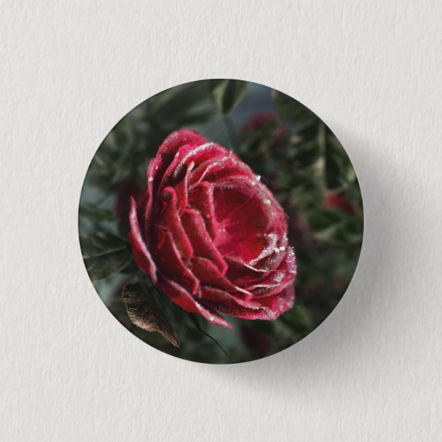 Winterschenken Button (Vorderseite)
