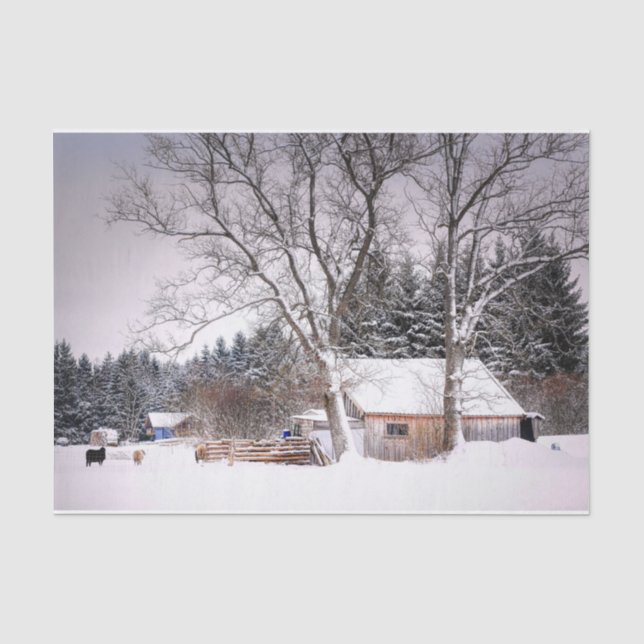 Winterschlaf im Schnee  Seidenpapier (Vorderseite)
