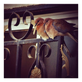 Winterschnecken Fotodruck
