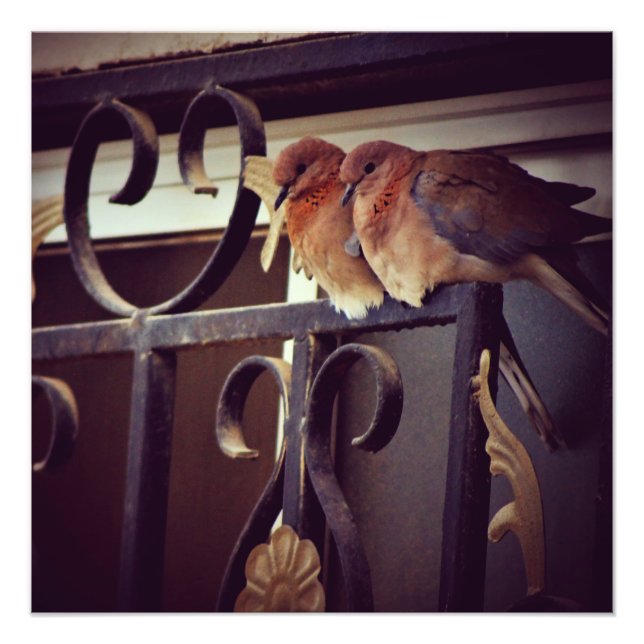 Winterschnecken Fotodruck (Vorne)