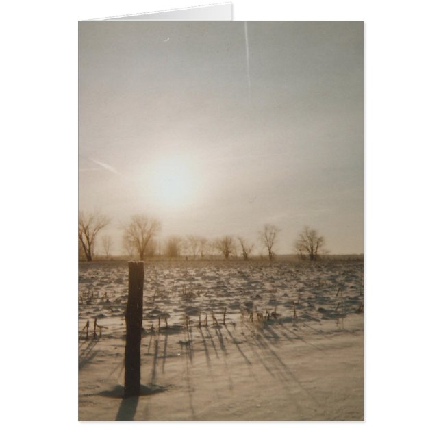 Winterschnee (Vorne)