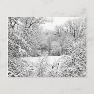 Winterschnee am Huron River Postkarte