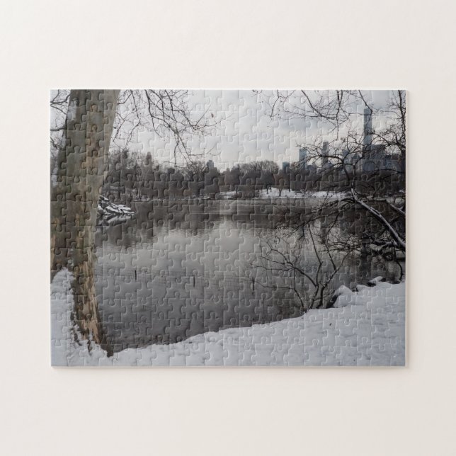 Winterschnee im Central Park New York City NYC (Horizontal)