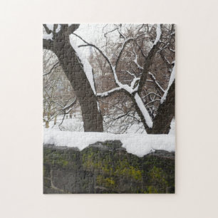 Winterschnee im Central Park New York City NYC