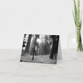 Winterschnee im Kings Canyon Nationalpark