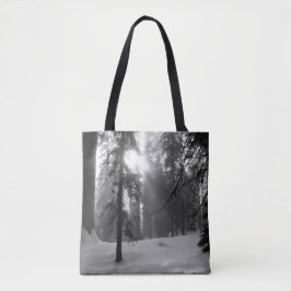 Winterschnee im Kings Canyon Nationalpark Tasche