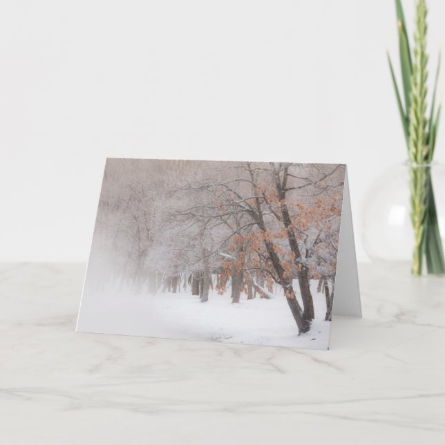Winterschnee | Kussharo-See Karte (Vorderseite)