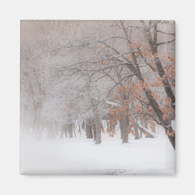 Winterschnee | Kussharo-See Magnet (Vorne)