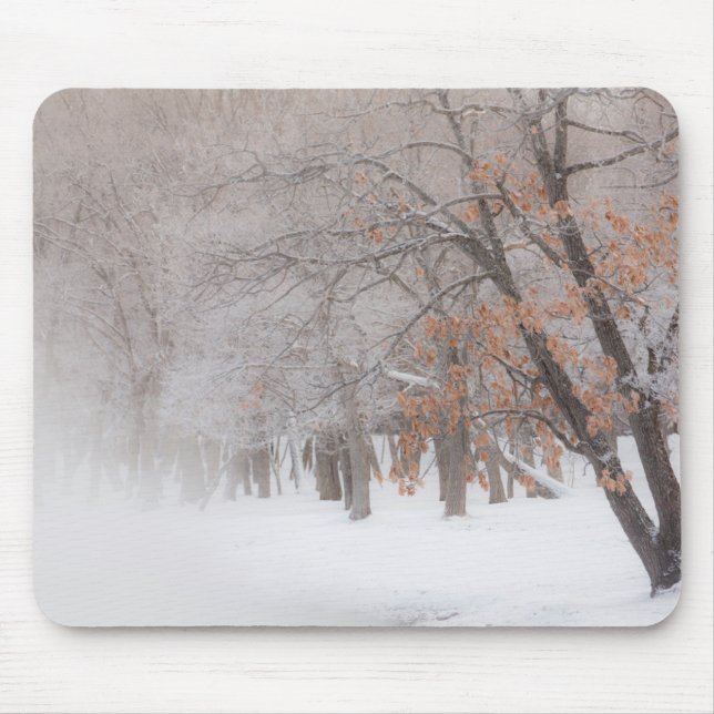 Winterschnee | Kussharo-See Mousepad (Vorne)